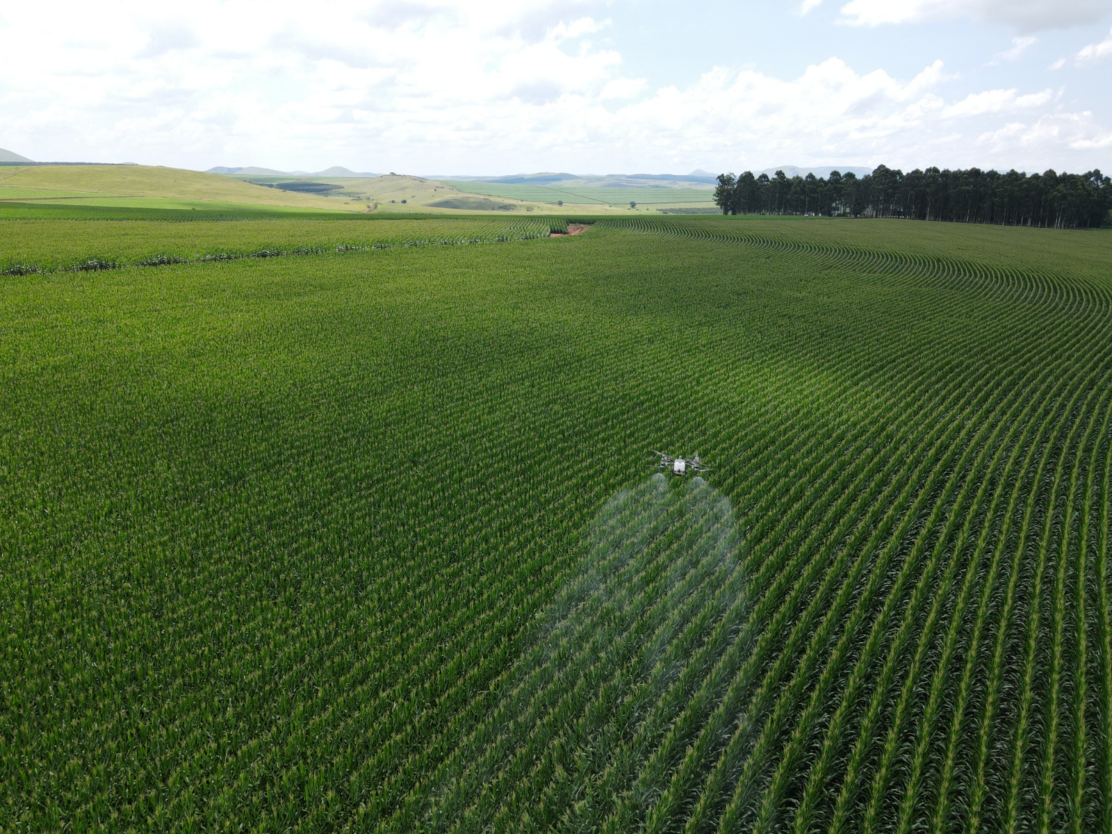 Crop Spraying